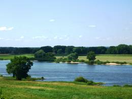 Lüneburger Heide