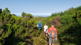 Madeira Wander­reisen