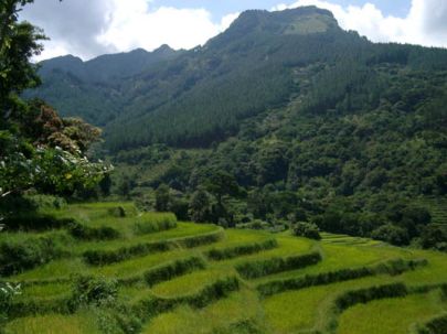Berglandschaft Sri Lanka